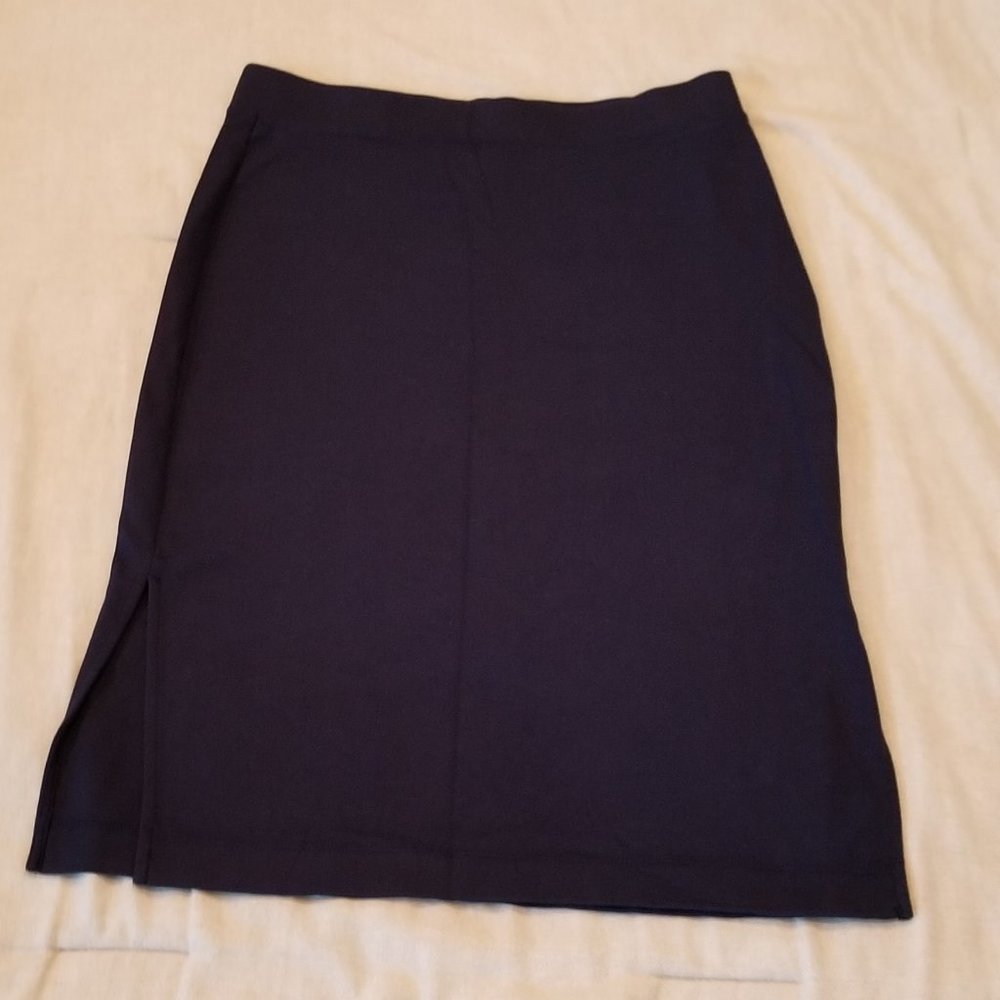 Gap Women's Navy Dress Skirt